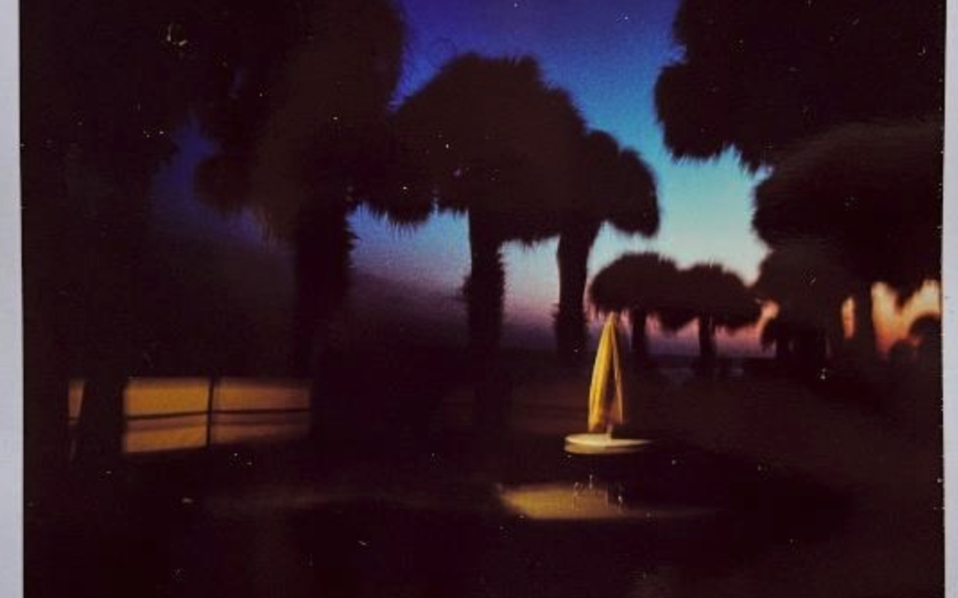 Strange Worlds: Photographs by Jay Hoops